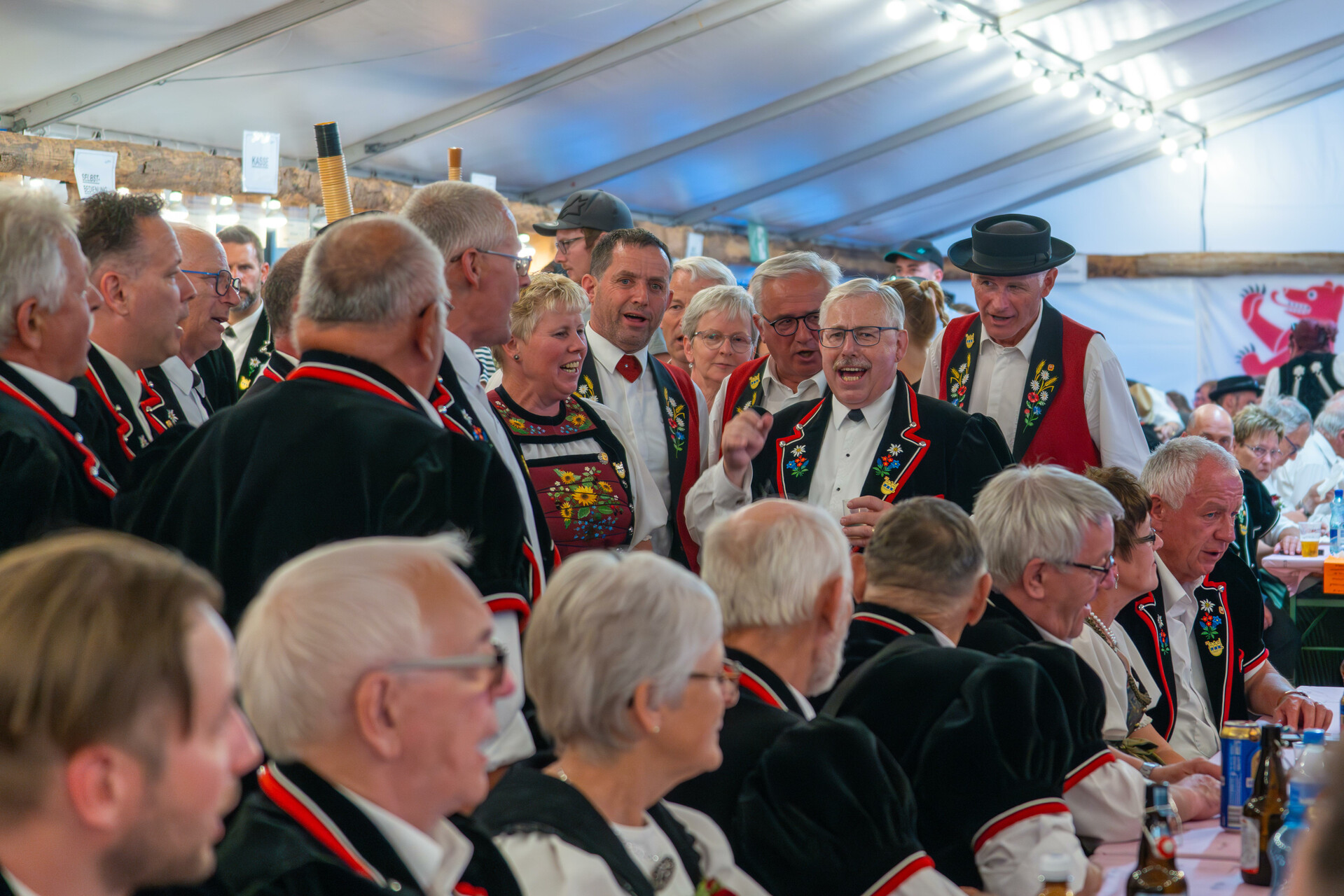 DSC02767-Verbessert-RR.jpg compressed